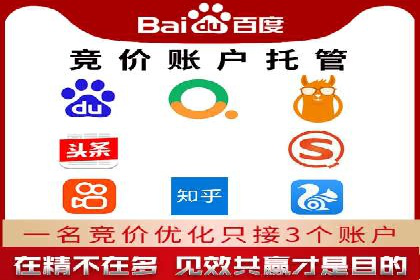 某品牌通过SEM关键词实现品牌推广的实战案例